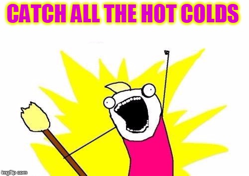 X All The Y Meme | CATCH ALL THE HOT COLDS | image tagged in memes,x all the y | made w/ Imgflip meme maker