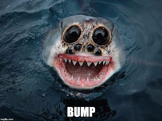 BUMP | made w/ Imgflip meme maker