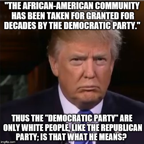 Donald Trump sulk | "THE AFRICAN-AMERICAN COMMUNITY HAS BEEN TAKEN FOR GRANTED FOR DECADES BY THE DEMOCRATIC PARTY."; THUS THE "DEMOCRATIC PARTY" ARE ONLY WHITE PEOPLE, LIKE THE REPUBLICAN PARTY; IS THAT WHAT HE MEANS? | image tagged in donald trump sulk | made w/ Imgflip meme maker