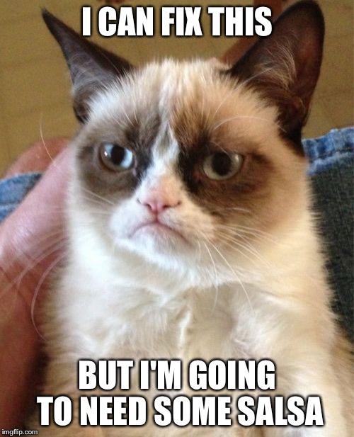 Grumpy Cat Meme | I CAN FIX THIS BUT I'M GOING TO NEED SOME SALSA | image tagged in memes,grumpy cat | made w/ Imgflip meme maker