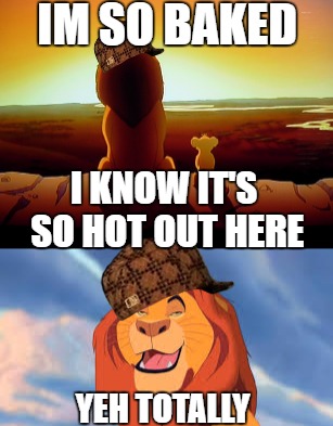 Mufasa 420 blazin it. Simba be in the dark about this one. | IM SO BAKED; I KNOW IT'S SO HOT OUT HERE; YEH TOTALLY | image tagged in weed,funny,lion king,lions,detroit lions,scumbag steve | made w/ Imgflip meme maker