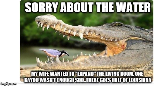 Gator Wife | SORRY ABOUT THE WATER; MY WIFE WANTED TO "EXPAND" THE LIVING ROOM. ONE BAYOU WASN'T ENOUGH SOO..THERE GOES HALF OF LOUISIANA | image tagged in memes,funny,louisiana,alligator,gators,flood | made w/ Imgflip meme maker
