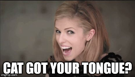 CAT GOT YOUR TONGUE? | image tagged in anna kendrick punchline | made w/ Imgflip meme maker