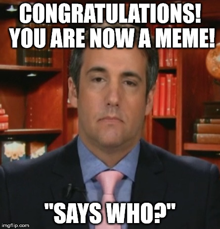 Michael Cohen | CONGRATULATIONS! YOU ARE NOW A MEME! "SAYS WHO?" | image tagged in michael cohen | made w/ Imgflip meme maker