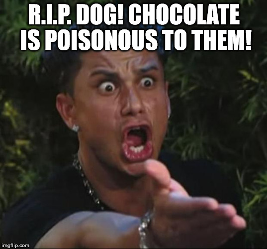 R.I.P. DOG! CHOCOLATE IS POISONOUS TO THEM! | image tagged in pauly | made w/ Imgflip meme maker