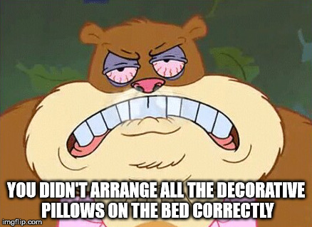 YOU DIDN'T ARRANGE ALL THE DECORATIVE PILLOWS ON THE BED CORRECTLY | made w/ Imgflip meme maker