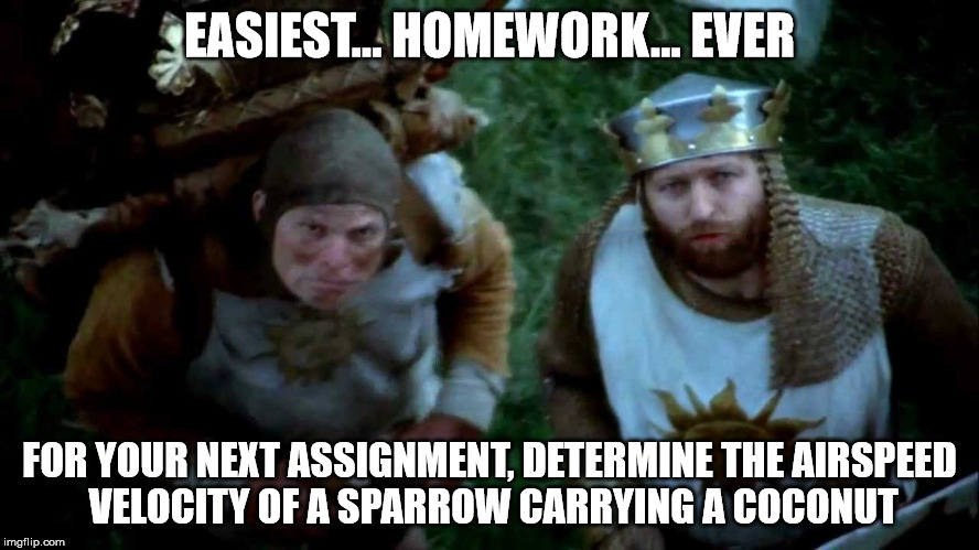 EASIEST... HOMEWORK... EVER FOR YOUR NEXT ASSIGNMENT, DETERMINE THE AIRSPEED VELOCITY OF A SPARROW CARRYING A COCONUT | image tagged in the questioning king | made w/ Imgflip meme maker