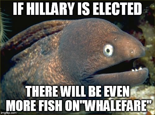 Bad Joke Eel Meme | IF HILLARY IS ELECTED; THERE WILL BE EVEN MORE FISH ON"WHALEFARE" | image tagged in memes,bad joke eel | made w/ Imgflip meme maker