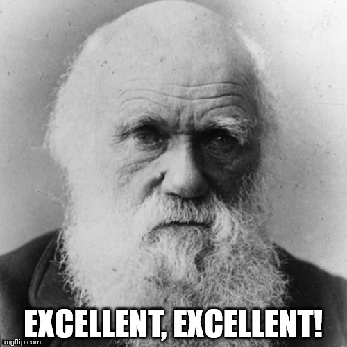 EXCELLENT, EXCELLENT! | image tagged in darwin | made w/ Imgflip meme maker