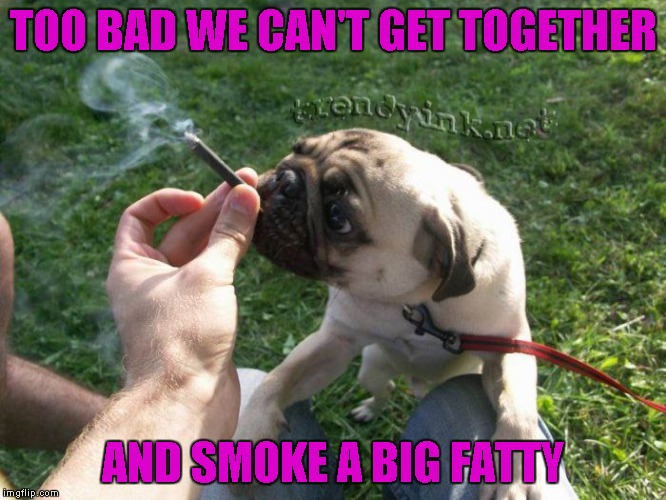 TOO BAD WE CAN'T GET TOGETHER AND SMOKE A BIG FATTY | made w/ Imgflip meme maker