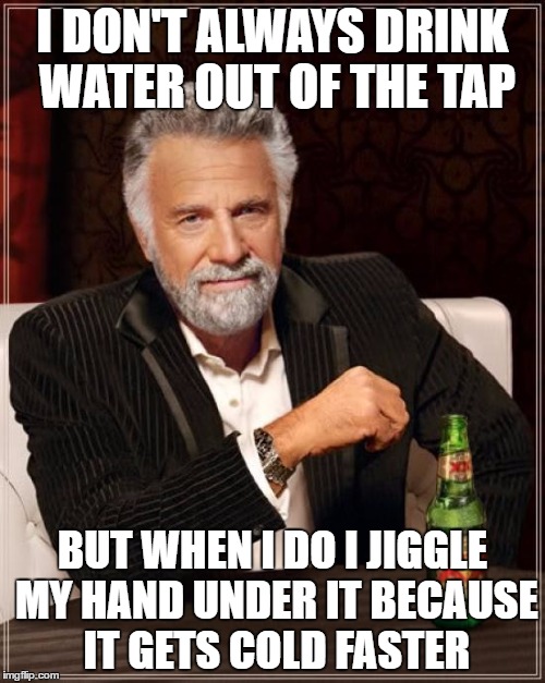 The Most Interesting Man In The World | I DON'T ALWAYS DRINK WATER OUT OF THE TAP; BUT WHEN I DO I JIGGLE MY HAND UNDER IT BECAUSE IT GETS COLD FASTER | image tagged in memes,the most interesting man in the world | made w/ Imgflip meme maker