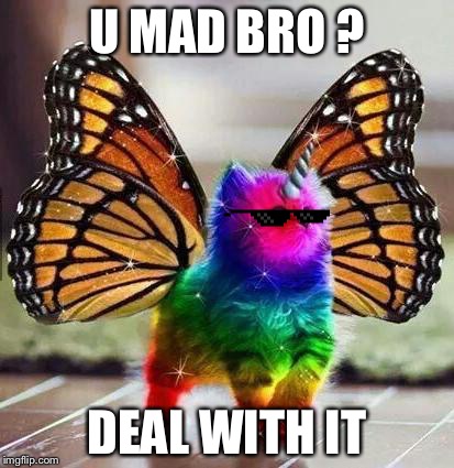 Rainbow unicorn butterfly kitten | U MAD BRO ? DEAL WITH IT | image tagged in rainbow unicorn butterfly kitten | made w/ Imgflip meme maker