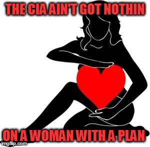 My favorite Quote from the movie: "Two Can Play That Game" | THE CIA AIN'T GOT NOTHIN; ON A WOMAN WITH A PLAN | image tagged in sex,true love,relationships,sexy women,men | made w/ Imgflip meme maker