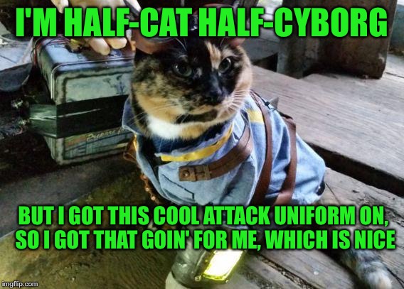 Fallout RayCat | I'M HALF-CAT HALF-CYBORG; BUT I GOT THIS COOL ATTACK UNIFORM ON, SO I GOT THAT GOIN' FOR ME, WHICH IS NICE | image tagged in fallout raycat,memes | made w/ Imgflip meme maker