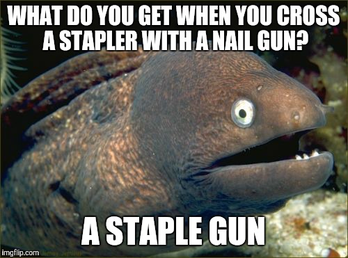 Bad Joke Eel (or would this be a dad joke?) | WHAT DO YOU GET WHEN YOU CROSS A STAPLER WITH A NAIL GUN? A STAPLE GUN | image tagged in bad joke eel,funny,memes,that's not how this works,cotton twill | made w/ Imgflip meme maker