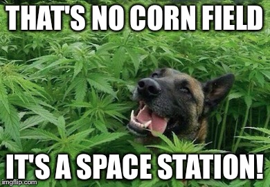 What Was I Talking About? | THAT'S NO CORN FIELD; IT'S A SPACE STATION! | image tagged in star wars | made w/ Imgflip meme maker