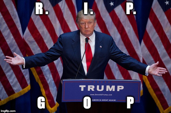 Donald Trump | R .              I .             P. G               O              P | image tagged in donald trump | made w/ Imgflip meme maker