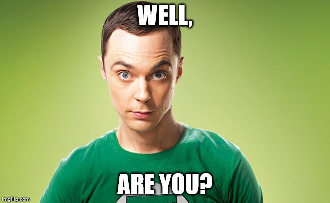 WELL, ARE YOU? | image tagged in sheldon 2 | made w/ Imgflip meme maker