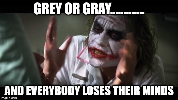 And everybody loses their minds Meme | GREY OR GRAY............. AND EVERYBODY LOSES THEIR MINDS | image tagged in memes,and everybody loses their minds | made w/ Imgflip meme maker