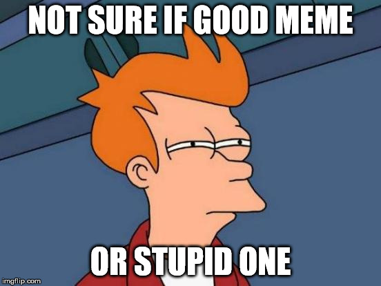 Futurama Fry Meme | NOT SURE IF GOOD MEME OR STUPID ONE | image tagged in memes,futurama fry | made w/ Imgflip meme maker