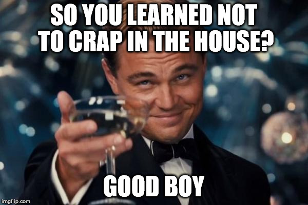 Leonardo Dicaprio Cheers Meme | SO YOU LEARNED NOT TO CRAP IN THE HOUSE? GOOD BOY | image tagged in memes,leonardo dicaprio cheers | made w/ Imgflip meme maker