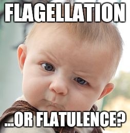 Skeptical Baby Meme | FLAGELLATION ...OR FLATULENCE? | image tagged in memes,skeptical baby | made w/ Imgflip meme maker