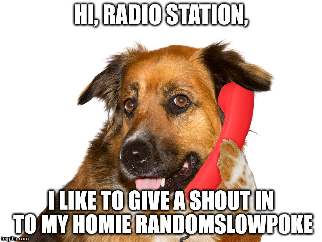 HI, RADIO STATION, I LIKE TO GIVE A SHOUT IN TO MY HOMIE RANDOMSLOWPOKE | image tagged in dog on the phone | made w/ Imgflip meme maker