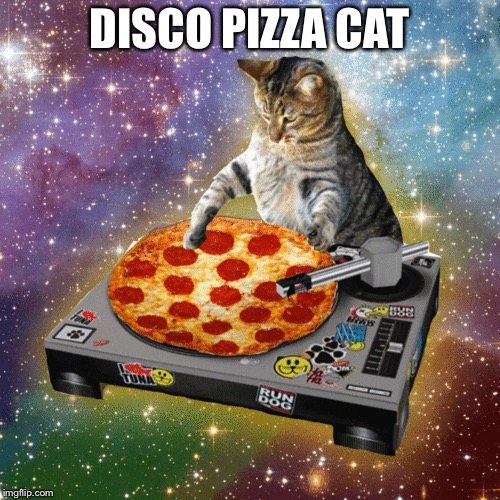DISCO PIZZA CAT | image tagged in cats,disco,pizza cat | made w/ Imgflip meme maker