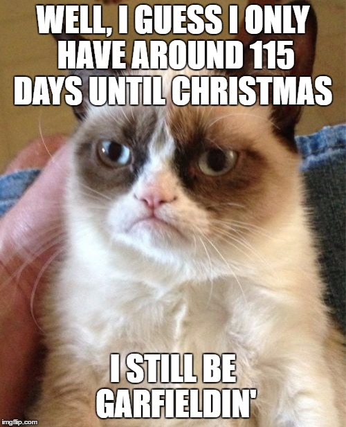 I'M STILL BE GARFIELDIN' | WELL, I GUESS I ONLY HAVE AROUND 115 DAYS UNTIL CHRISTMAS; I STILL BE GARFIELDIN' | image tagged in memes,grumpy cat | made w/ Imgflip meme maker