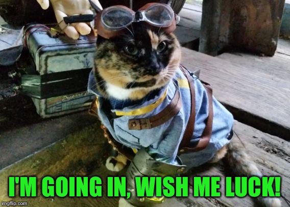Fallout RayCat | I'M GOING IN, WISH ME LUCK! | image tagged in fallout raycat | made w/ Imgflip meme maker
