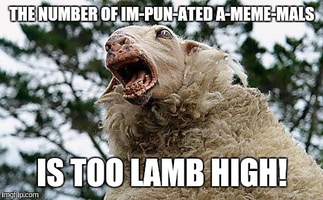 Decalfinations, Exfoaliations... | THE NUMBER OF IM-PUN-ATED A-MEME-MALS; IS TOO LAMB HIGH! | image tagged in mad sheep | made w/ Imgflip meme maker