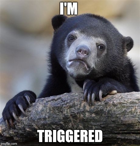 Confession Bear Meme | I'M TRIGGERED | image tagged in memes,confession bear | made w/ Imgflip meme maker