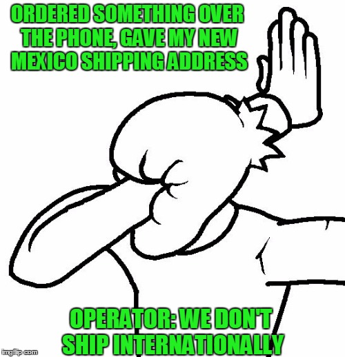 It's happened more than once... | ORDERED SOMETHING OVER THE PHONE, GAVE MY NEW MEXICO SHIPPING ADDRESS; OPERATOR: WE DON'T SHIP INTERNATIONALLY | image tagged in extreme facepalm | made w/ Imgflip meme maker
