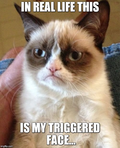 Grumpy Cat Meme | IN REAL LIFE THIS; IS MY TRIGGERED FACE... | image tagged in memes,grumpy cat | made w/ Imgflip meme maker
