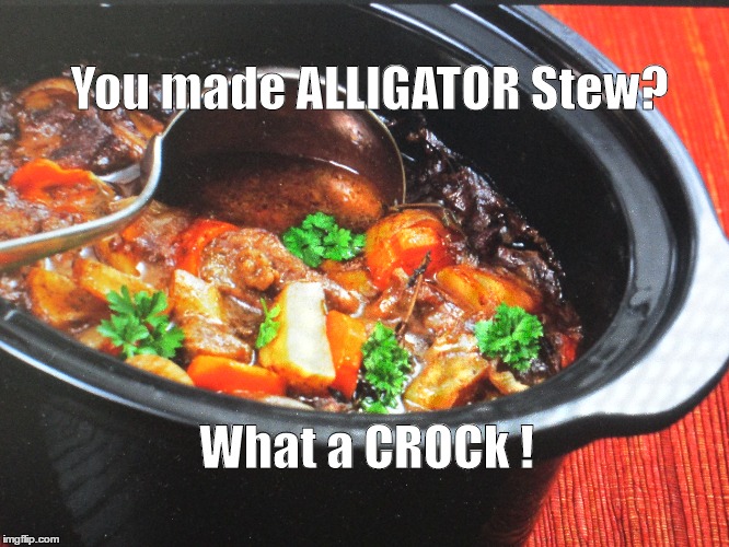 You made ALLIGATOR Stew? What a CROCk ! | image tagged in croc | made w/ Imgflip meme maker