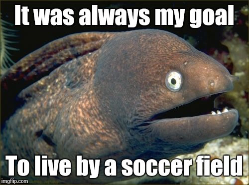 Bad Joke Eel | It was always my goal; To live by a soccer field | image tagged in memes,bad joke eel,soccer,trhtimmy | made w/ Imgflip meme maker