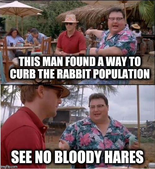 See ... nobody cares | THIS MAN FOUND A WAY TO CURB THE RABBIT POPULATION; SEE NO BLOODY HARES | image tagged in memes,see nobody cares,rabbits,rabbit | made w/ Imgflip meme maker