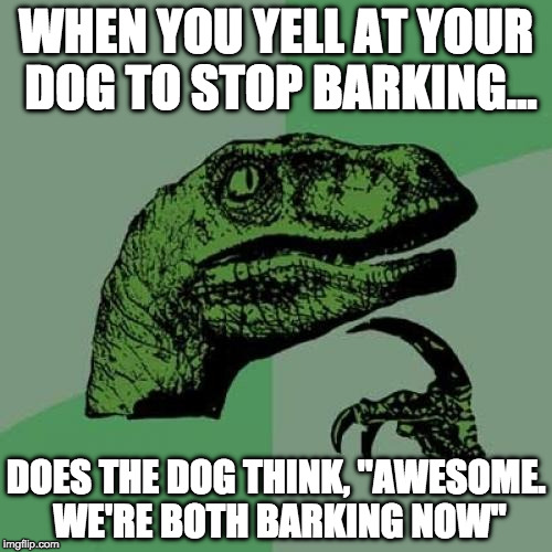 Philosoraptor Meme | WHEN YOU YELL AT YOUR DOG TO STOP BARKING... DOES THE DOG THINK, "AWESOME. WE'RE BOTH BARKING NOW" | image tagged in memes,philosoraptor | made w/ Imgflip meme maker
