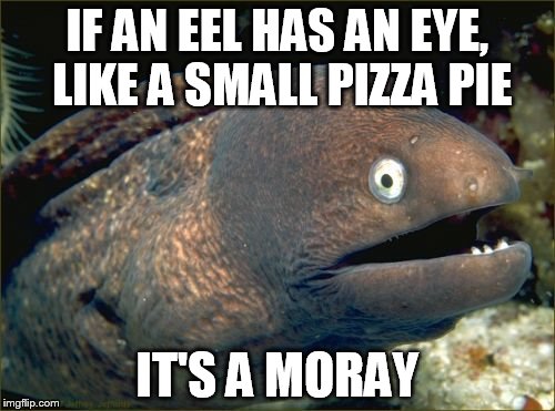Bad Joke Eel | IF AN EEL HAS AN EYE, LIKE A SMALL PIZZA PIE; IT'S A MORAY | image tagged in memes,bad joke eel | made w/ Imgflip meme maker