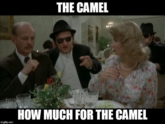 THE CAMEL HOW MUCH FOR THE CAMEL | made w/ Imgflip meme maker