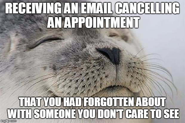 Satisfied Seal Meme | RECEIVING AN EMAIL CANCELLING AN APPOINTMENT; THAT YOU HAD FORGOTTEN ABOUT WITH SOMEONE YOU DON'T CARE TO SEE | image tagged in memes,satisfied seal,AdviceAnimals | made w/ Imgflip meme maker