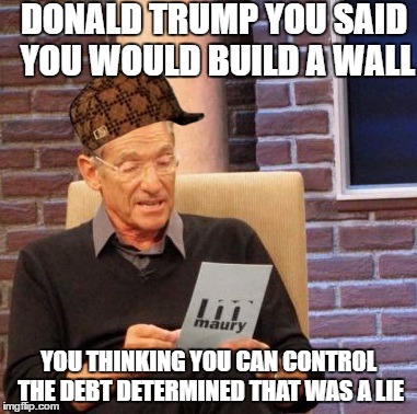 Maury Lie Detector | DONALD TRUMP YOU SAID YOU WOULD BUILD A WALL; YOU THINKING YOU CAN CONTROL THE DEBT DETERMINED THAT WAS A LIE | image tagged in memes,maury lie detector,donald trump | made w/ Imgflip meme maker