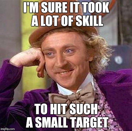 Creepy Condescending Wonka Meme | I'M SURE IT TOOK A LOT OF SKILL TO HIT SUCH A SMALL TARGET | image tagged in memes,creepy condescending wonka | made w/ Imgflip meme maker