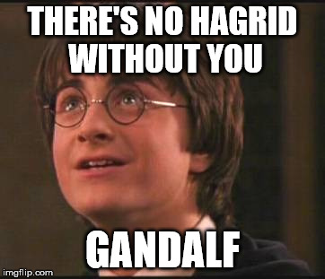Harry Potter No Hogwarts Without You | THERE'S NO HAGRID WITHOUT YOU; GANDALF | image tagged in harry potter no hogwarts without you | made w/ Imgflip meme maker