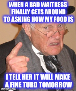 When the service stinks | WHEN A BAD WAITRESS FINALLY GETS AROUND TO ASKING HOW MY FOOD IS; I TELL HER IT WILL MAKE A FINE TURD TOMORROW | image tagged in memes,back in my day,waitress,restaurant,funny | made w/ Imgflip meme maker