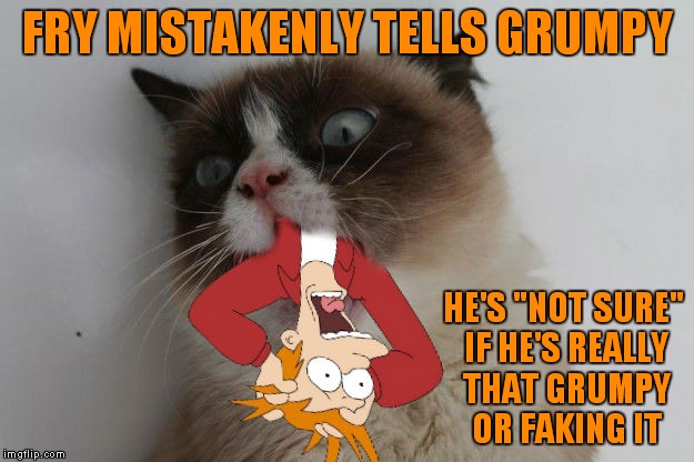 Should have left Grumpy alone Fry! | FRY MISTAKENLY TELLS GRUMPY; HE'S "NOT SURE" IF HE'S REALLY THAT GRUMPY OR FAKING IT | image tagged in grumpy cat,fry not sure,fry freaking out | made w/ Imgflip meme maker