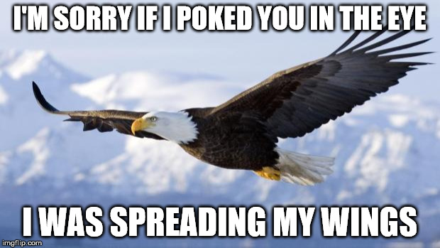 eagle | I'M SORRY IF I POKED YOU IN THE EYE; I WAS SPREADING MY WINGS | image tagged in eagle | made w/ Imgflip meme maker