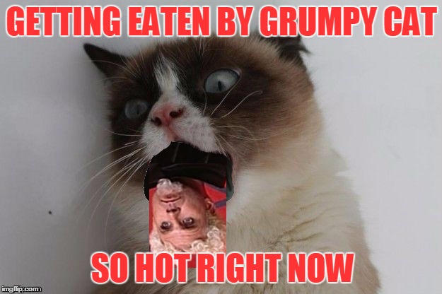 GETTING EATEN BY GRUMPY CAT SO HOT RIGHT NOW | made w/ Imgflip meme maker