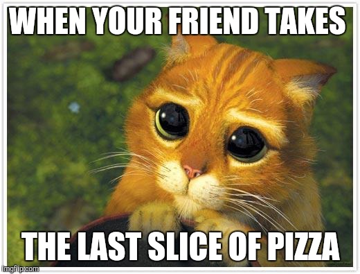 Shrek Cat | WHEN YOUR FRIEND TAKES; THE LAST SLICE OF PIZZA | image tagged in memes,shrek cat | made w/ Imgflip meme maker