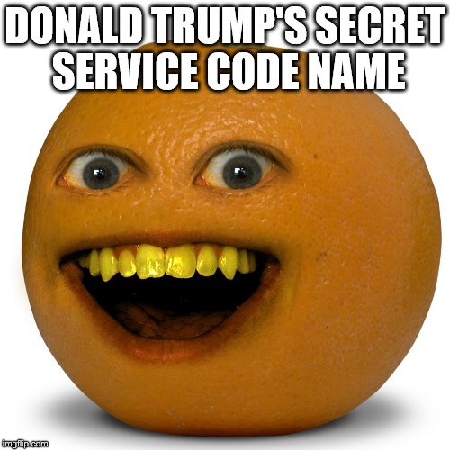DONALD TRUMP'S SECRET SERVICE CODE NAME | image tagged in donald trump | made w/ Imgflip meme maker